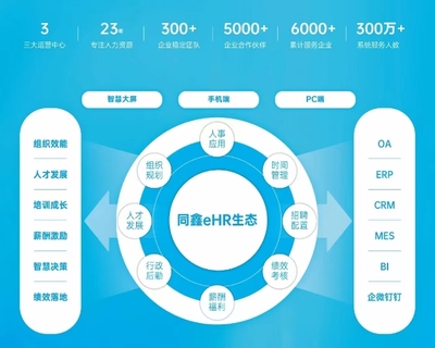 人力资源hcm软件有哪些比较好的选择?